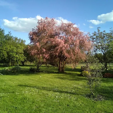 بيت للعطل Maison De Campagne Grez-en-Bouere
